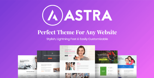 Astra Pro Addon  – Perfect Theme For Any Website